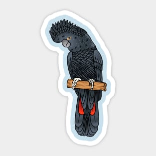 Red-tailed black cockatoo bird cartoon Sticker